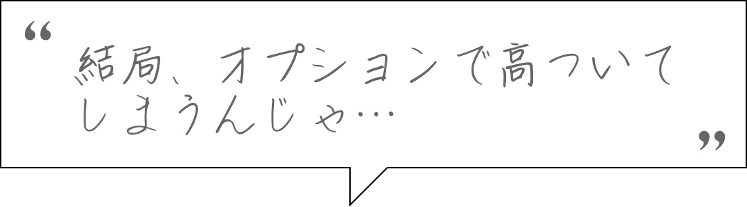 結局、オプションで高ついてしまうんじゃ・・・
